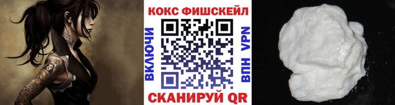 Cocaine Fish Scale  блэк спрут ССЫЛКА  Бабушкин 