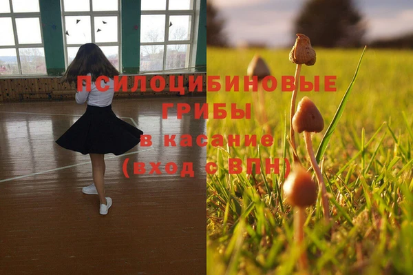 spice Алапаевск