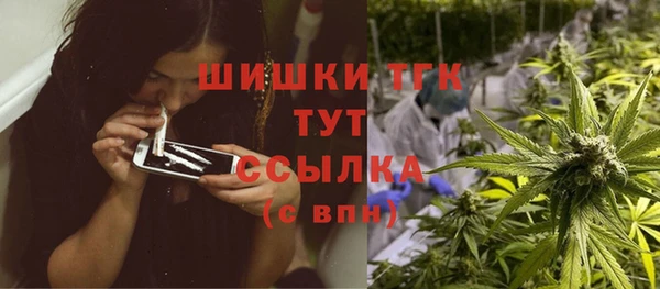 ешки Арсеньев