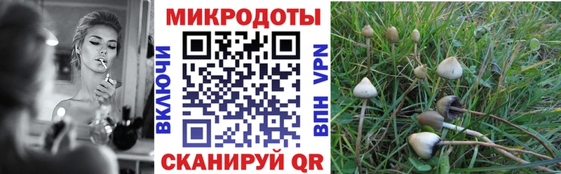 Псилоцибиновые грибы мицелий  Бабушкин 