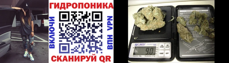 Конопля OG Kush наркота Бабушкин